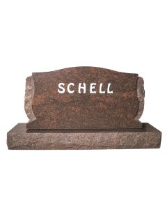 DG1411 Schell