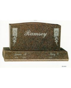 DG9101 RAMSEY